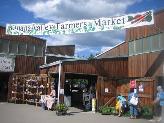 Tanana Valley Farmer's Market, June, 2009