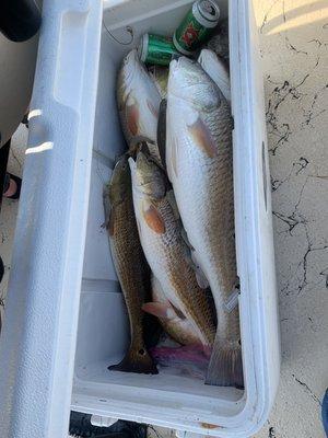 Box of big redfish