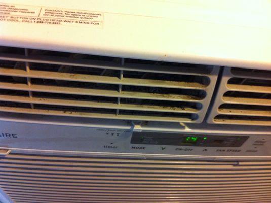 Moldy air conditioner