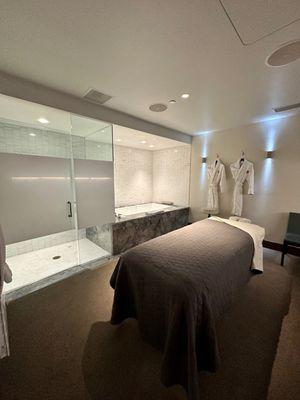 Luxury suite with jacuzzi tub and shower