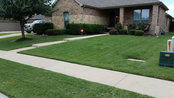 Greener lawns with American landscaping