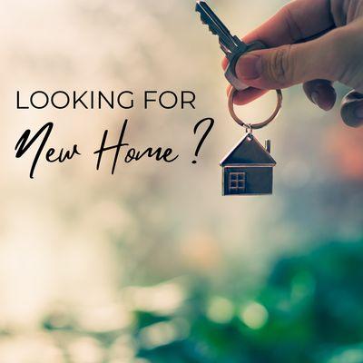 Looking for a new home?