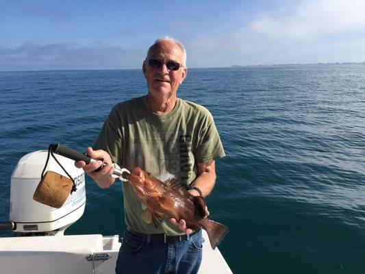 Baby grouper