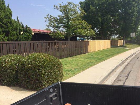 Fence partly stained.