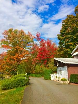 Autumn at lake Mocatek.