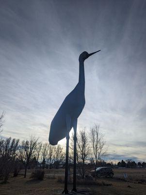 Worlds Largest Sandhill Crane