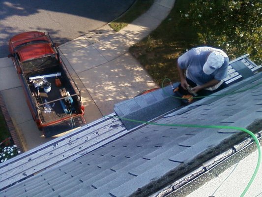 Shingle pent roof from a pick.