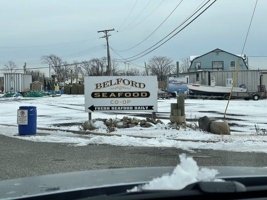 Belford Seafood Co-Op