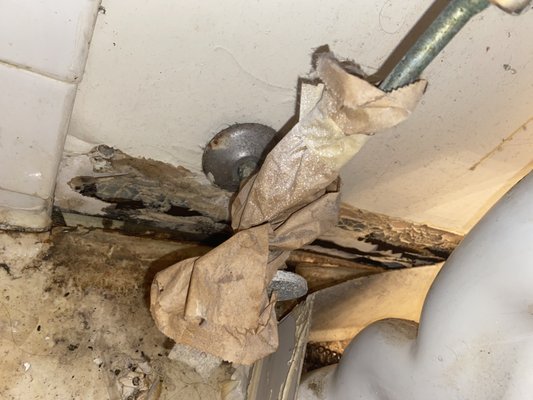 Master bath behind the toilet. They've pulled the "baseboard" off and dug holes through the wall.