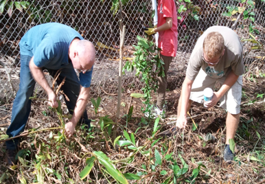 Vocational Gardening