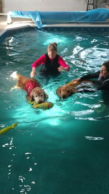 Taz, Hawk, Suzi, MaryBeth