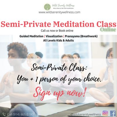 Semi-Private Meditation Class (Online class - 2 people)