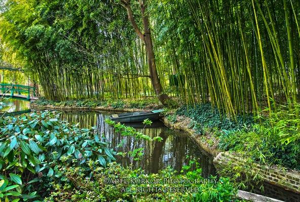 Bamboo Forest In Monet's Garden by Adel B. Korkor