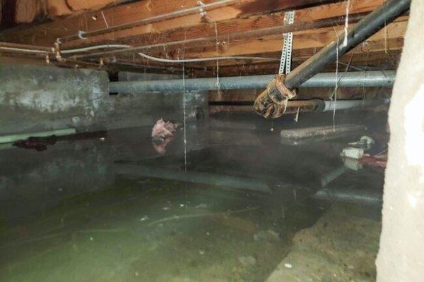 We like to stop rain water from entering your crawl space. Ask how we may help you? photo curtesy of photostock.com