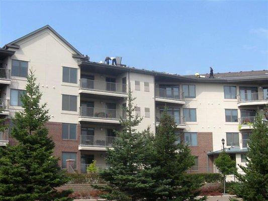 Green Cat Roofing will travel out of area and state for large jobs, such as this townhome community complete re roof.