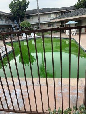 That time the pool turned green