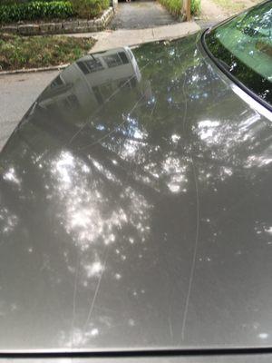 Scratches on the trunk of my car after getting it washed at Salem Car Wash.