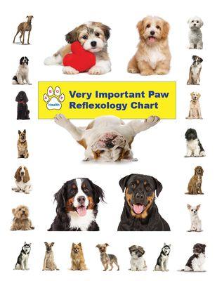 www.abophealth.com
We are dedicated to teaching pet parents how to relax their dogs.