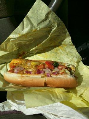 Turkey dog with everything (mayo, mustard, ketchup, onions, tomatoes, cilantro, relish) not bad for 3 bucks.