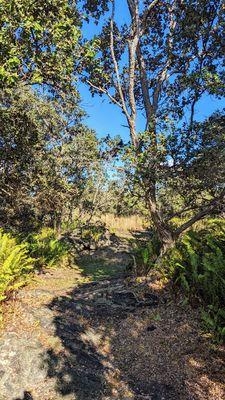 Pu'u o Lokuana Trail | Instagram: @telephonesmoothie