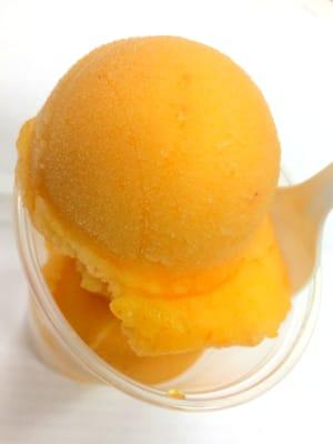 Frozen Desert Sorbet