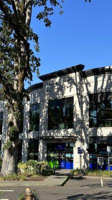 The Hillsboro Library on Brookwood is fittingly surrounded by wise, undoubtedly erudite trees