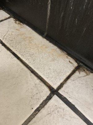 Moldy grout on floor. More than usual amount of hair.