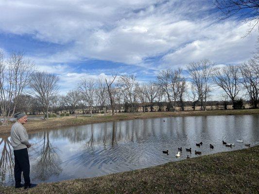 Pond in front of the wagons