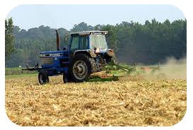 Tractor Mowing Services for North Texas