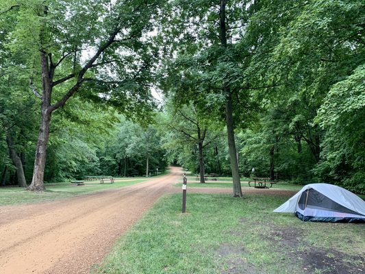 Campsites are located on both the left and right hand sides of the park.