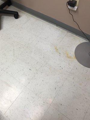 Exam room floor