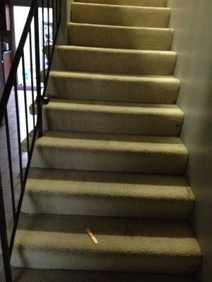 Carpeted Stairs (Before)