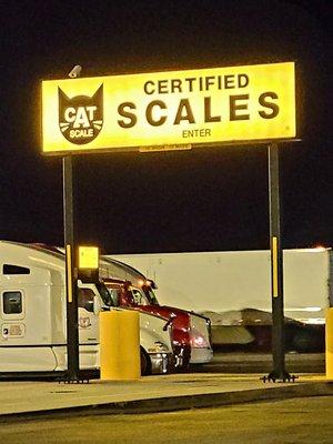 Cat Scale