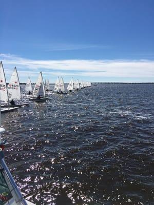 Laser regatta