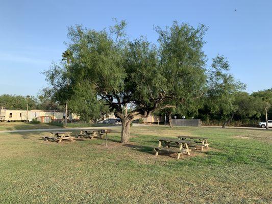 Lots of outdoor green space