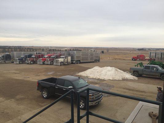 Trucks lined up for washout