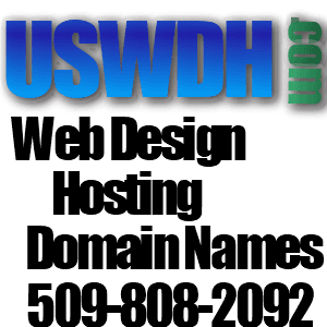 US Website Design and Hosting