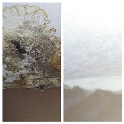 Water Damage Repair