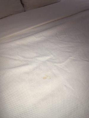 dirty bedding