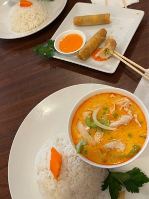 Red curry with chicken, steamed rice and crispy spring rolls