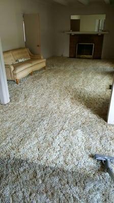 customers loved how clean the carpet was.