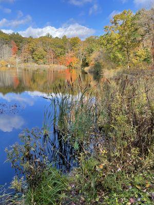 The Mill Pond on a beautiful fall day