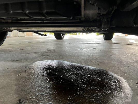 Excessive oil leak after oil change