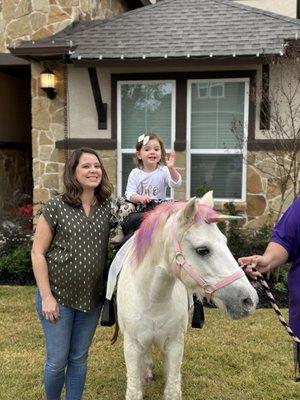 Giddy Up Pony Parties and Petting Zoos