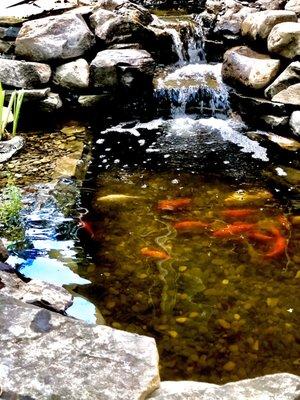 Entry level 6x8 fish pond with double spillway. Perfect for goldfish