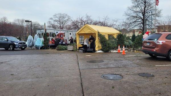 Big John's Christmas Trees