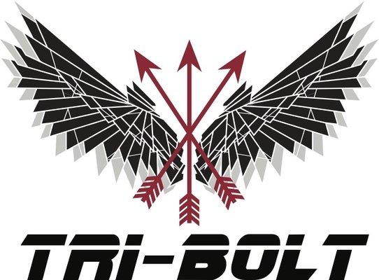 Tai-Bolt Security & Intelligence