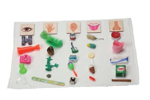 Shop small object sorting kits. These engaging objects draw children into learning.