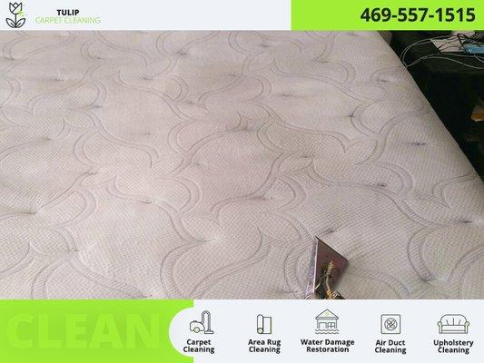 Mattress Cleaning Service