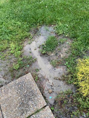 Soil erosion on my lawn which is now mud due to incorrect replacement of gutter guard material